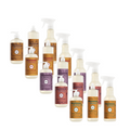 Fall Season Features Collection - Home Essential