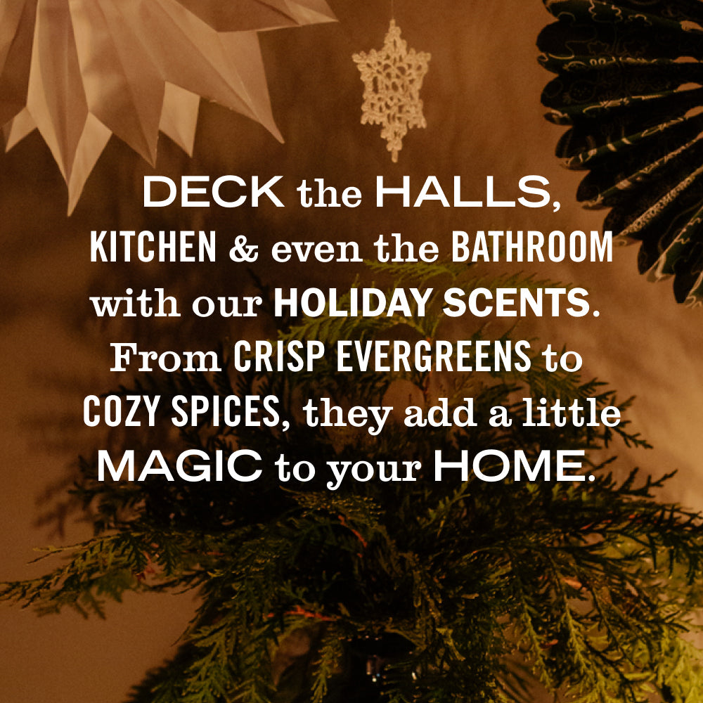 Holiday Seasonal Dish Soap Collection - Kitchen Care