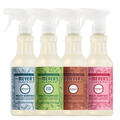 Holiday Seasonal Multi-Surface Everyday Cleaner Collection - Fresh Cleaning