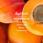 Apricot Liquid Hand Soap - Hand Care