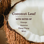 Coconut Leaf  Pet Multi-Surface Cleaner - Fresh Cleaning