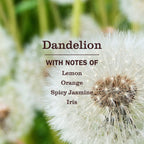 Dandelion Plug In Scented Oil Warmer With Refill - Home Fragrance