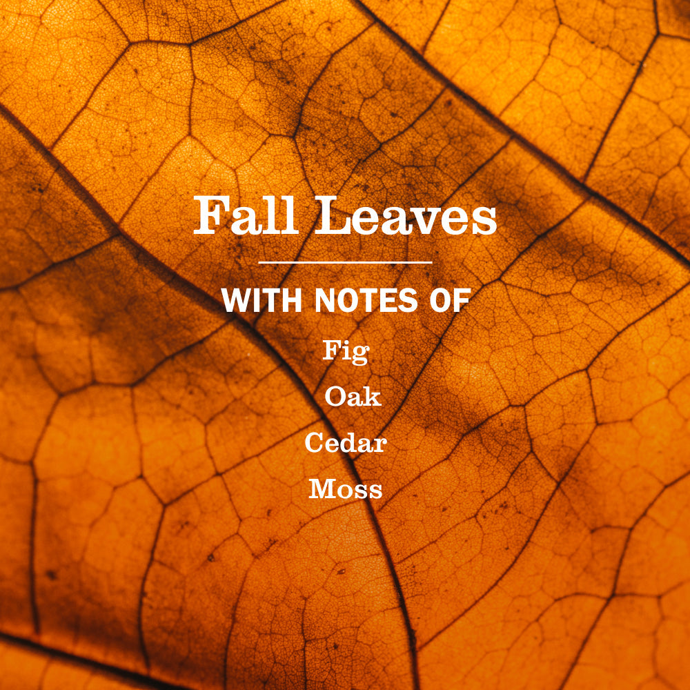 Fall Leaves Dish Soap - Kitchen Care
