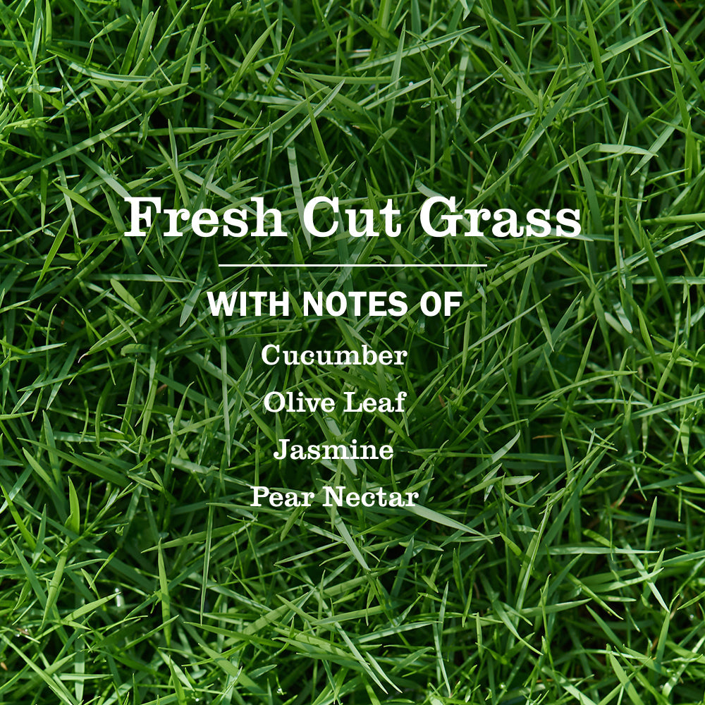 Fresh Cut Grass Plug in Scented Oil Warmer With Refill - Home Fragrance
