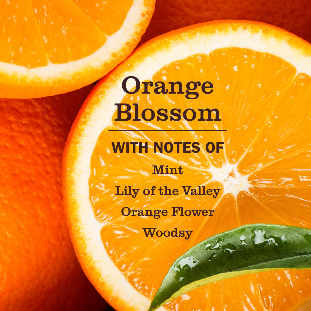 Orange Blossom Pet Odor Neutralizer - Pet Care