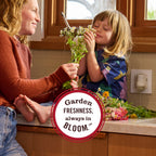 Acorn Spice Plug In Scented Oil Warmer With Refill - Home Fragrance
