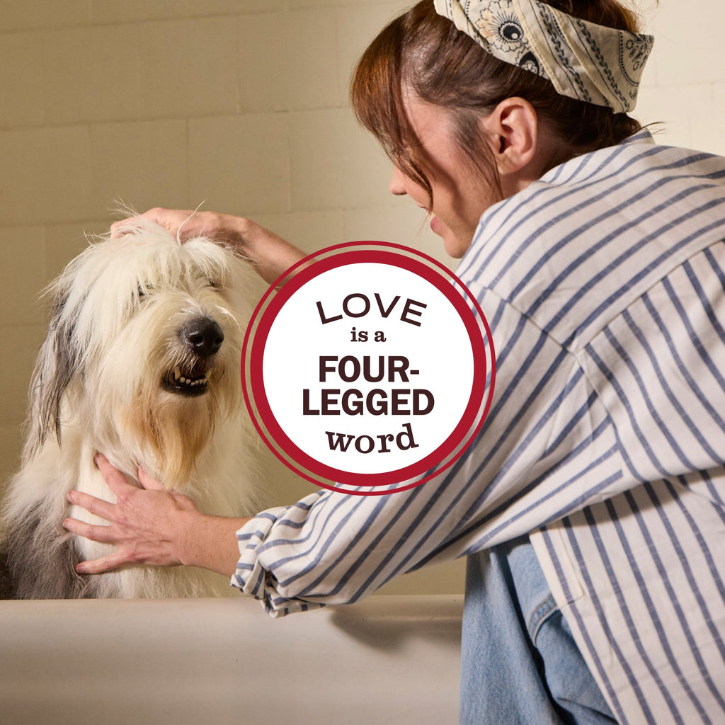 Sweet Chamomile Dog Deodorizing Spritz - Pet Care
