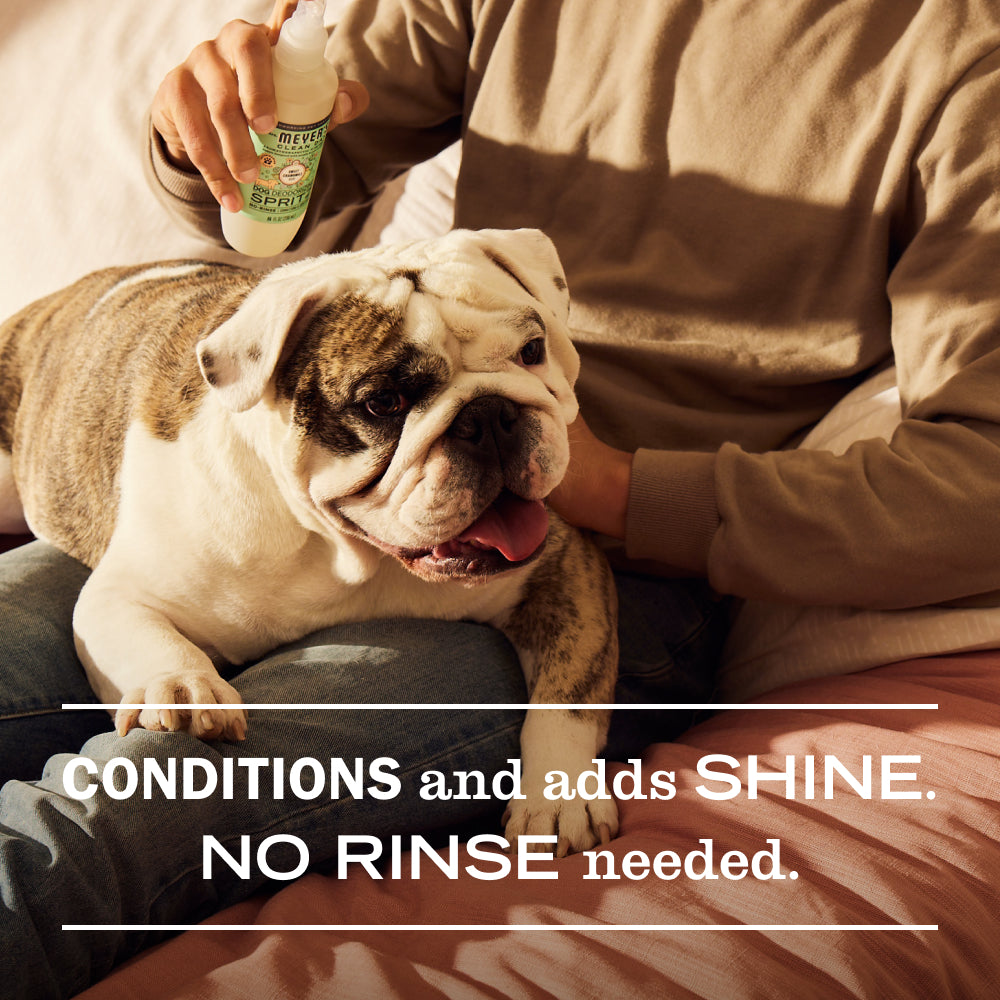 Sweet Chamomile Dog Deodorizing Spritz - Pet Care