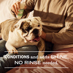 Sweet Chamomile Dog Deodorizing Spritz - Pet Care
