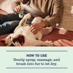 Sweet Chamomile Dog Deodorizing Spritz - Pet Care