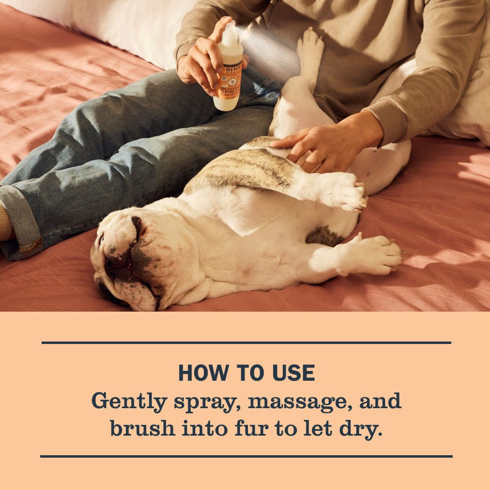 White Peach Dog Deodorizing Spritz - Pet Care