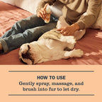 White Peach Dog Deodorizing Spritz - Pet Care
