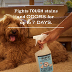 Coconut Leaf Pet Stain & Odor Fighter - Pet Care