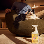 Orange Blossom Pet Stain & Odor Fighter - Pet Care
