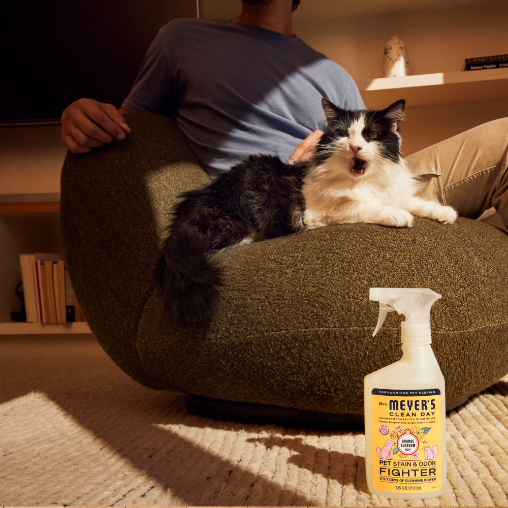 Orange Blossom Pet Stain & Odor Fighter - Pet Care