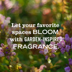 Lavender Plug In Scented Oil Warmer With Refill - Home Fragrance
