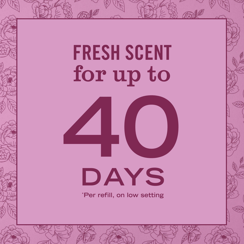 Peony Plug In Scented Oil Refill, 2-Pack - Home Fragrance