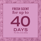 Peony Plug In Scented Oil Refill, 2-Pack - Home Fragrance