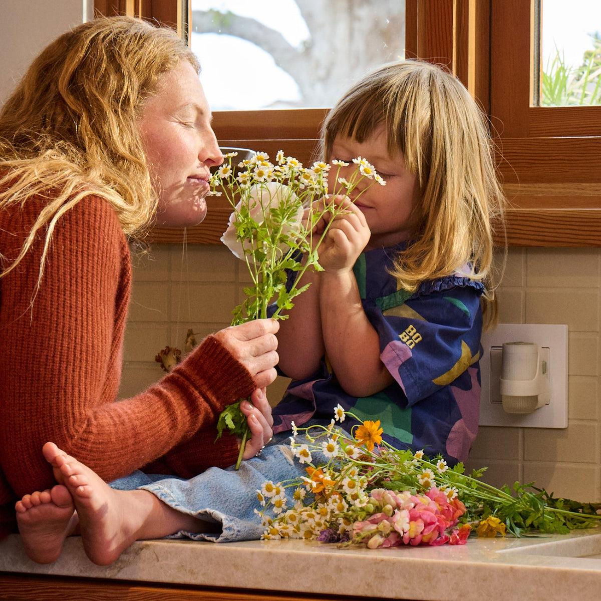 Lavender Plug In Scented Oil Warmer With Refill - Home Fragrance