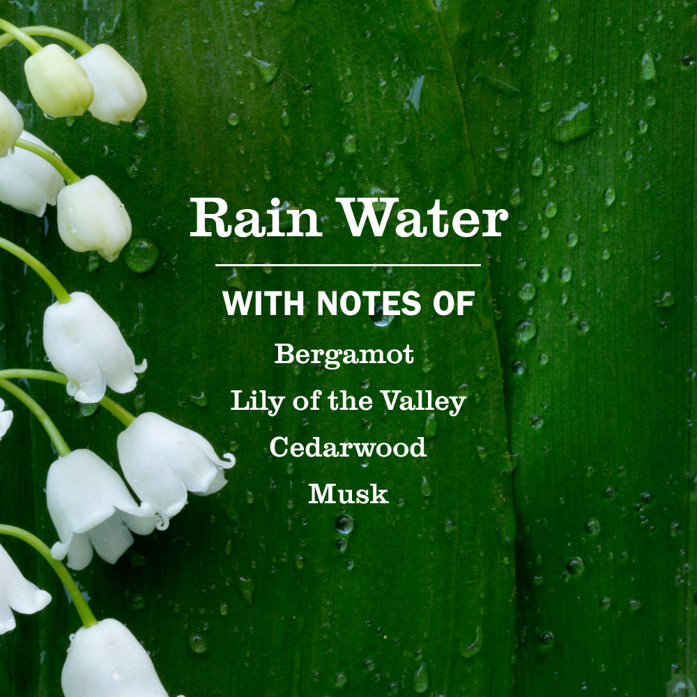 Rain Water Plug In Scented Oil Refill, 2-Pack - Home Fragrance