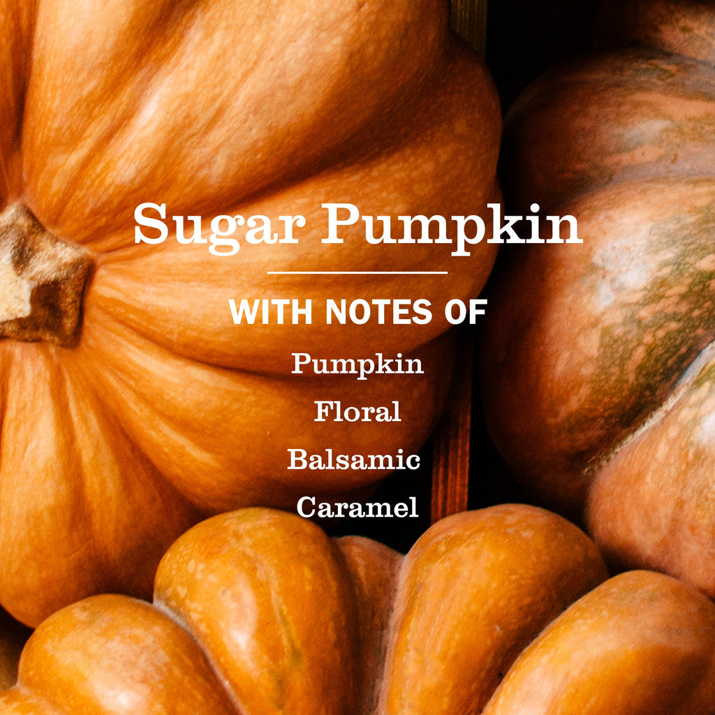 Sugar Pumpkin Dish Soap 3-count Bundle - Kitchen Care