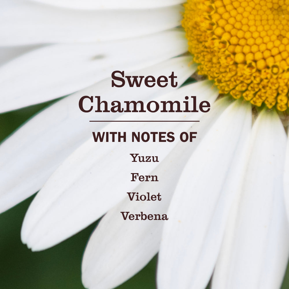 Sweet Chamomile 3-in-1 Dog Shampoo - Pet Care