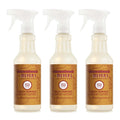 Apple Cider Multi-Surface Everyday Cleaner 3-count Bundle - Fresh Cleaning