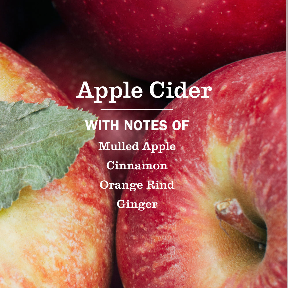 Apple Cider Liquid Hand Soap 3-count Bundle - Hand Care