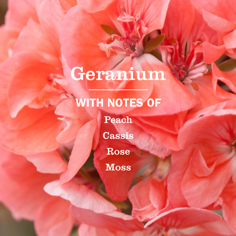 Geranium Kitchen Basics Set - Home Essential