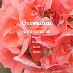 Geranium Kitchen Basics Set - Home Essential