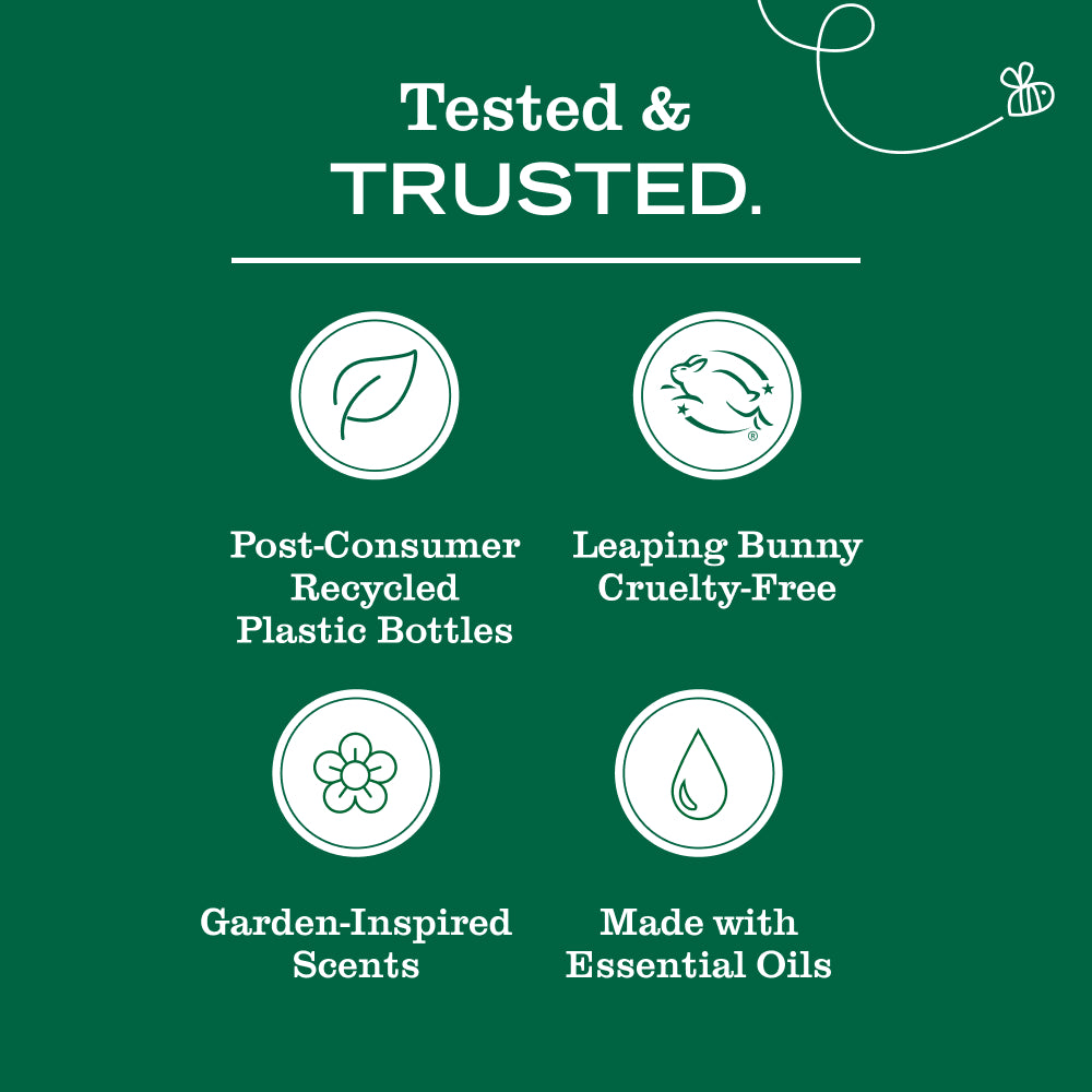 Daisy Multi-Surface Everyday Cleaner - Fresh Cleaning