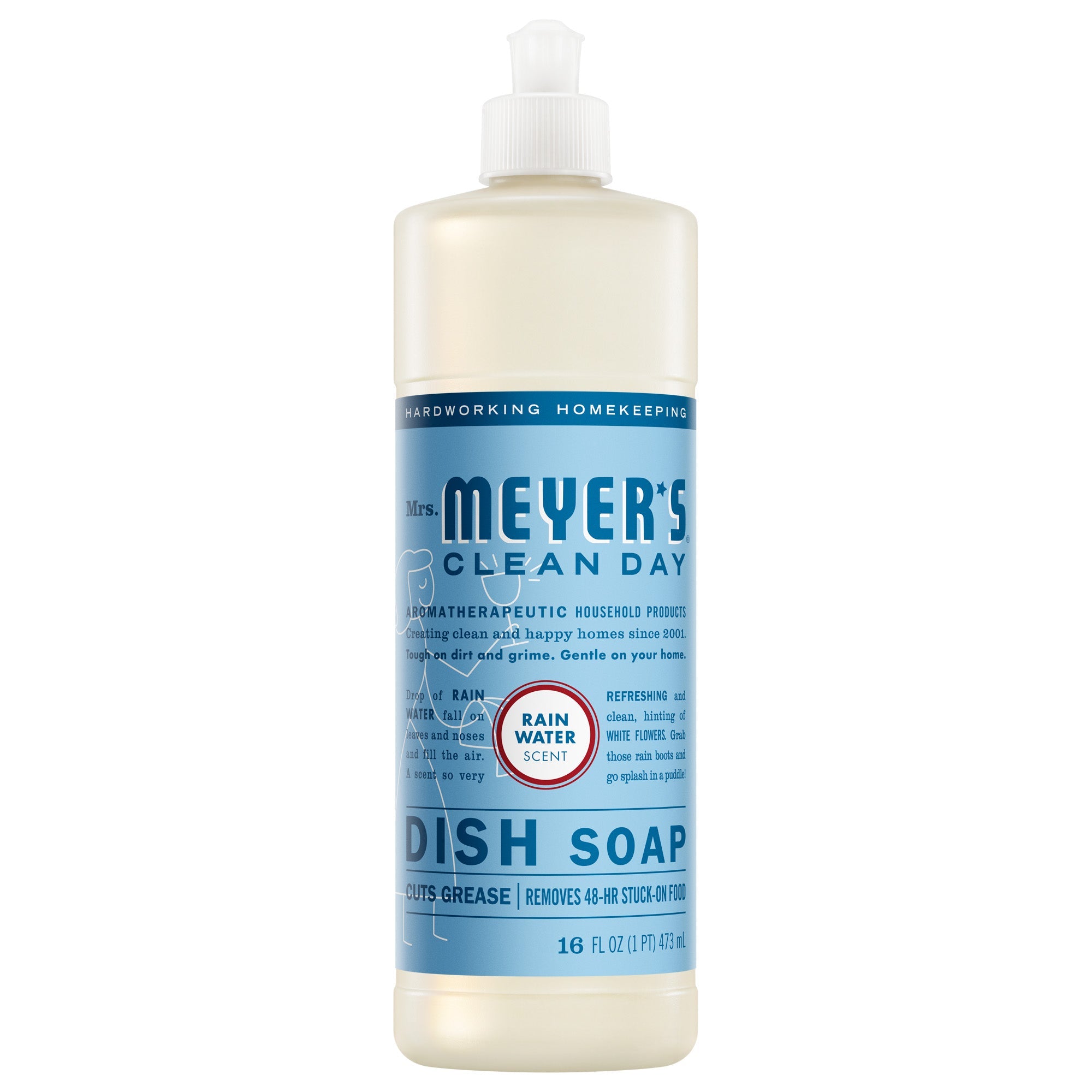 Rain Water Dish Soap - Kitchen Care