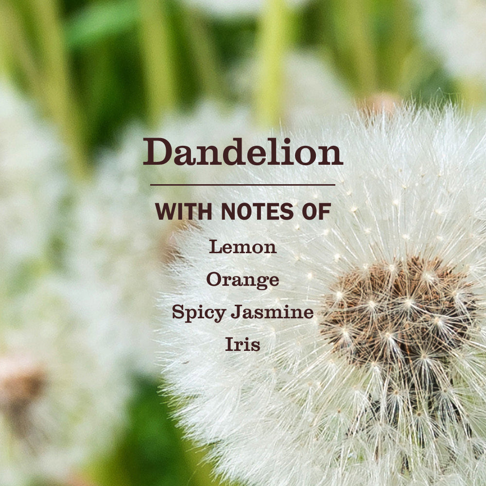 Dandelion Liquid Dish Soap - Kitchen Care
