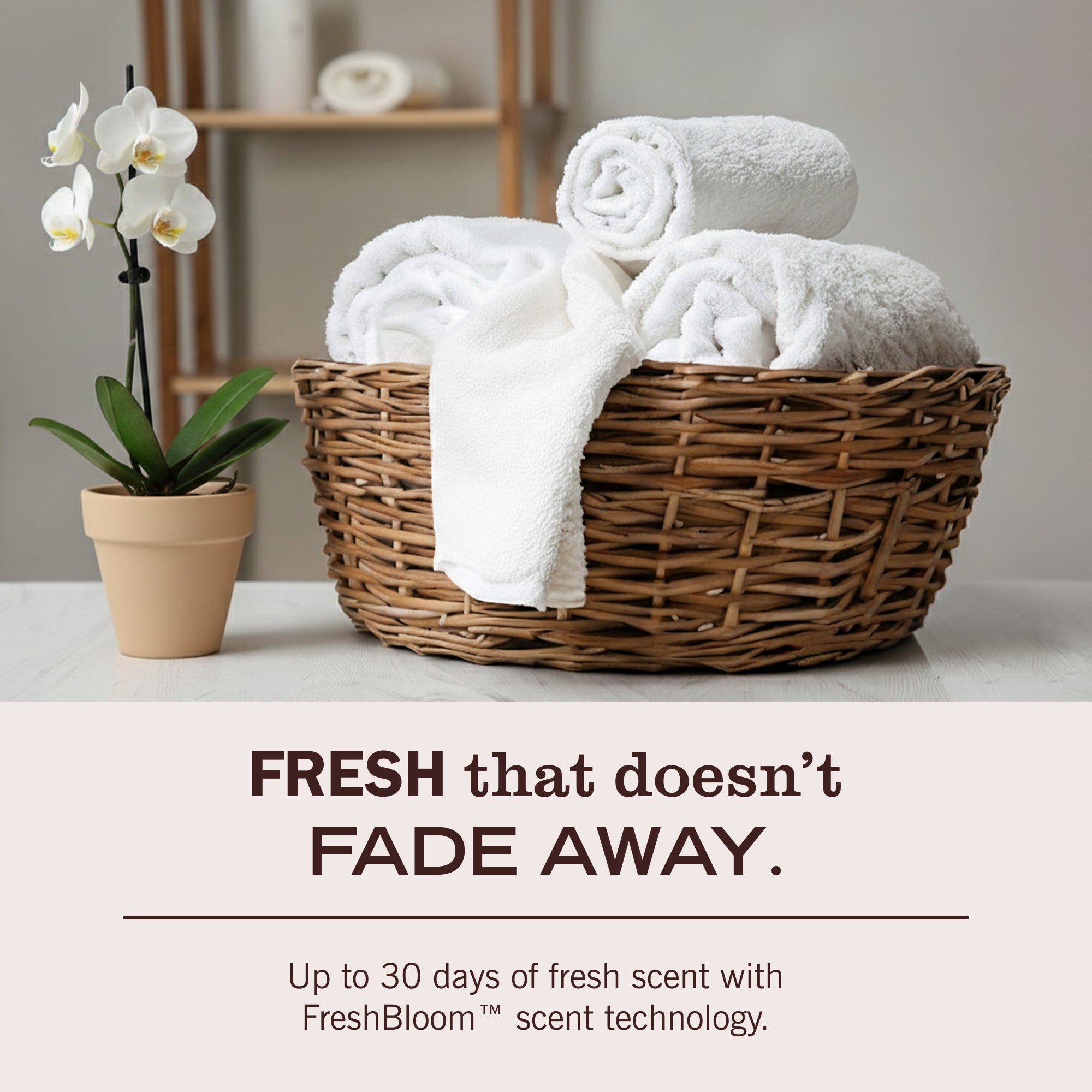 Honeysuckle Laundry Detergent - Laundry Care