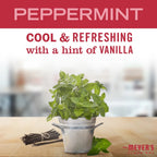 Peppermint Soy Candle Large - Home Fragrance