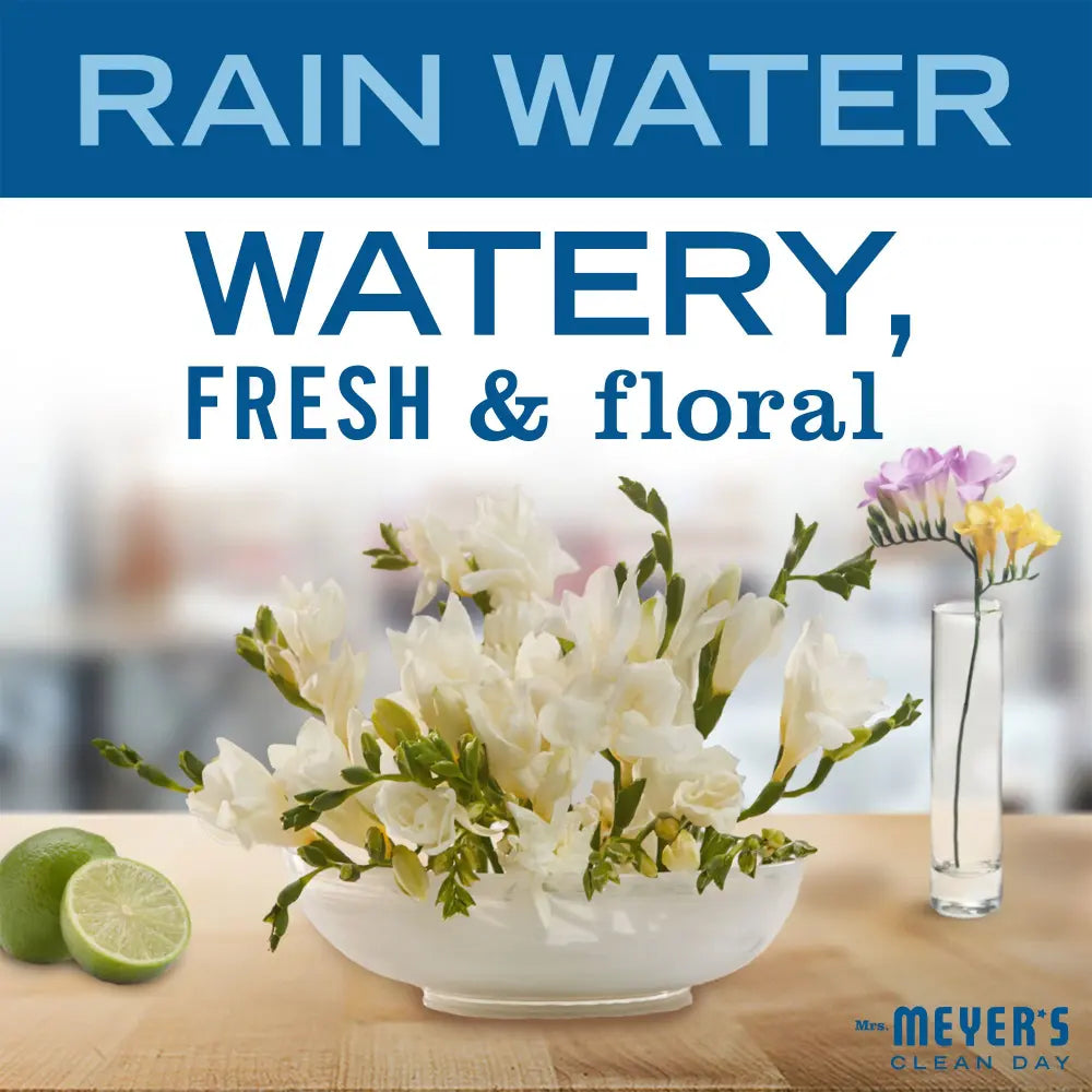 Rain Water Daily Bar Soap - Body Care