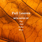 Fall Leaves Liquid Hand Soap 3-count Bundle - Hand Care