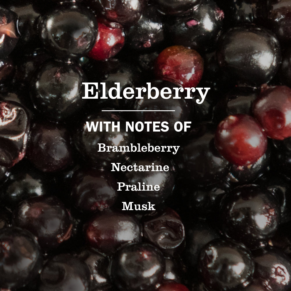 Elderberry Dish Soap 3-count Bundle - Kitchen Care
