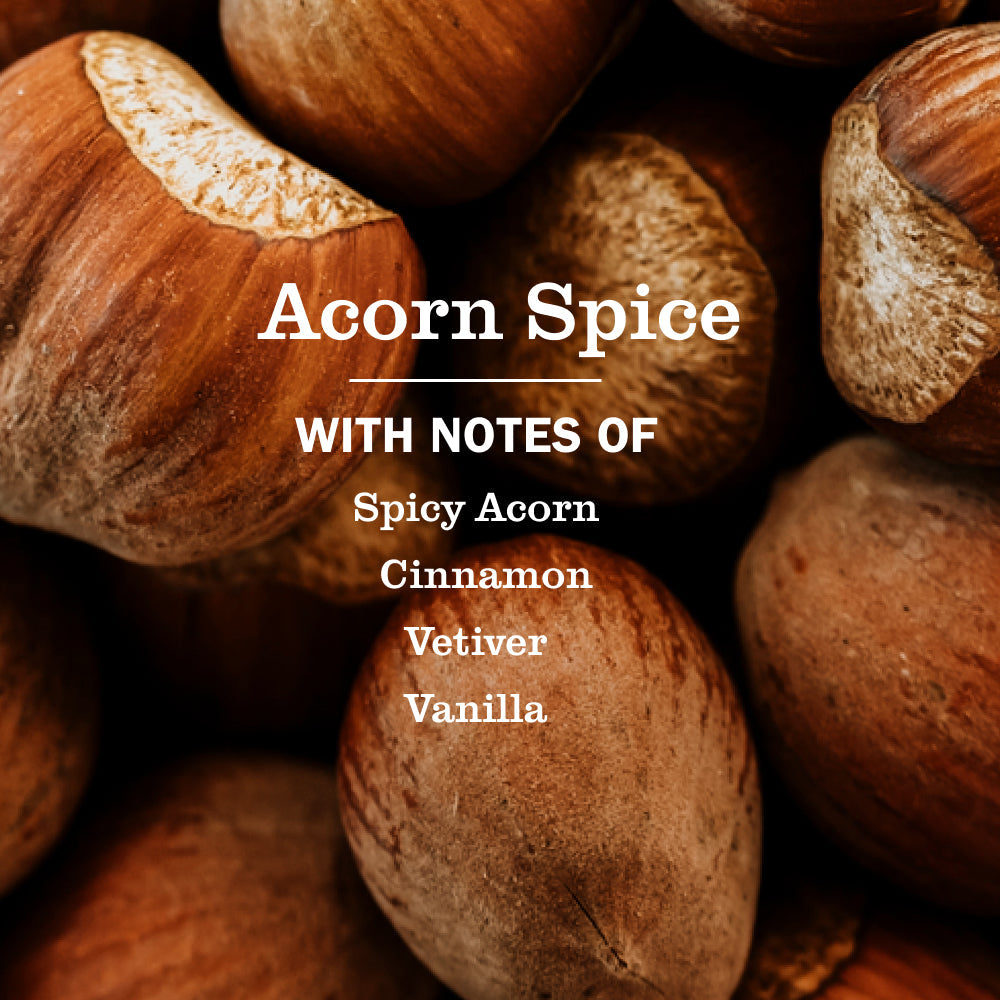 Acorn Spice Dish Soap 3-count Bundle