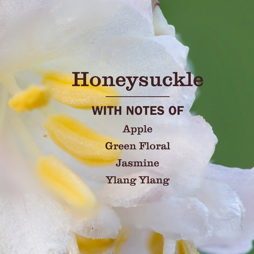 Honeysuckle Fabric Softener - Laundry Care