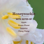 Honeysuckle Kitchen Basics Set - Home Essential