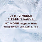 Lavender Scent Booster - Laundry Care