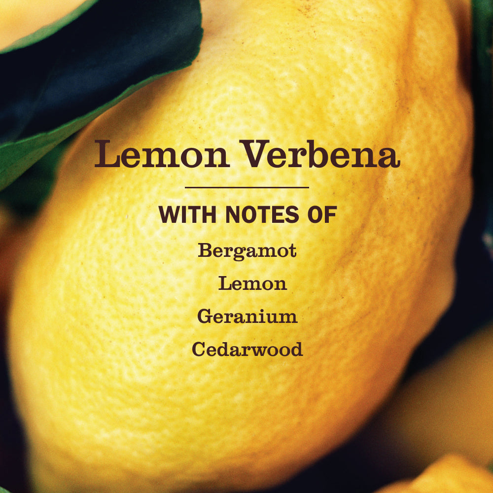 Lemon Verbena Toilet Bowl Cleaner - Fresh Cleaning