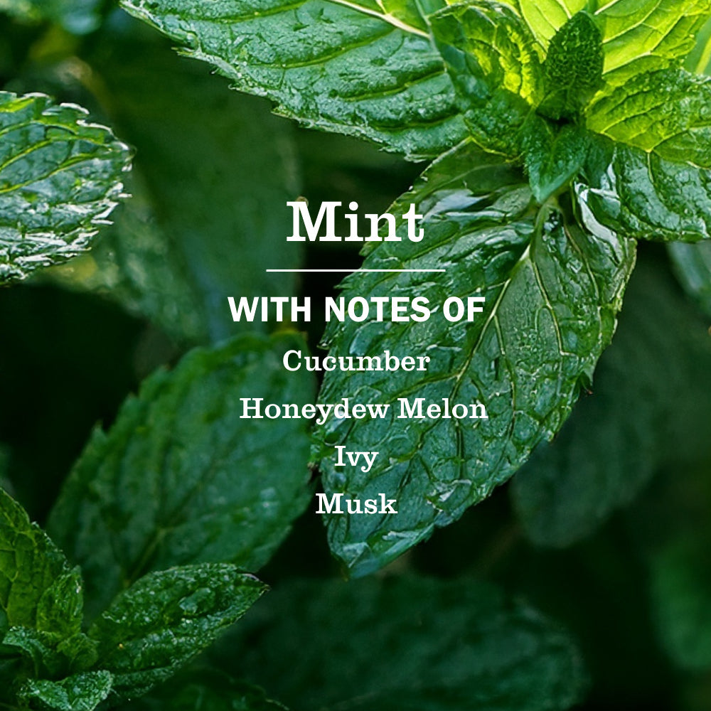 Mint Multi-Surface Everyday Cleaner - Fresh Cleaning