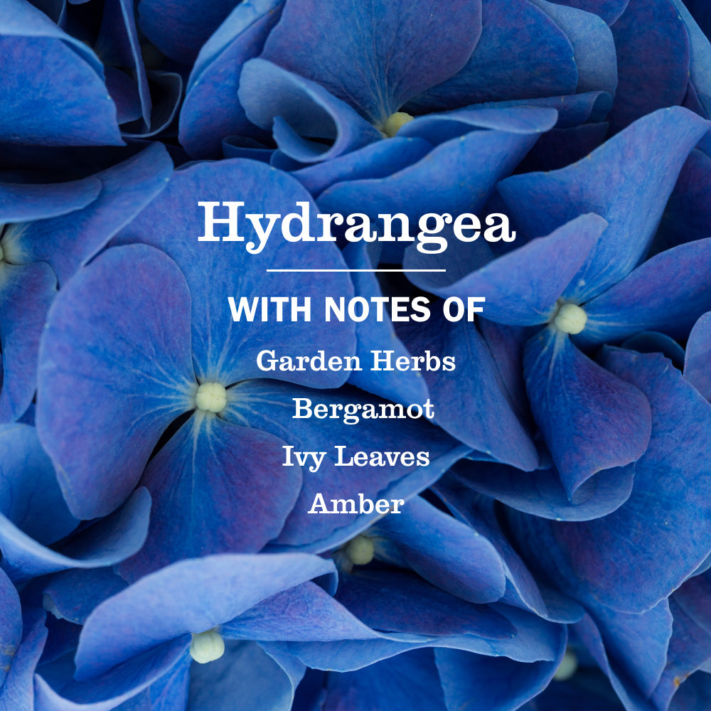 Hydrangea Liquid Hand Soap - Hand Care