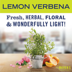 Lemon Verbena Vinegar Gel Cleaning Spray - Fresh Cleaning