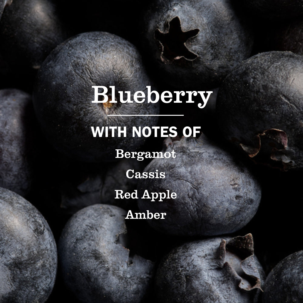 Blueberry Dish Soap - Kitchen Care
