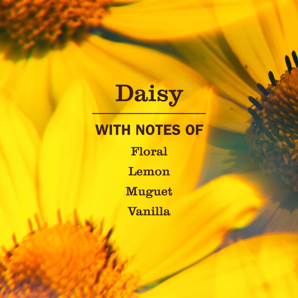 Daisy Dish Soap - Kitchen Care