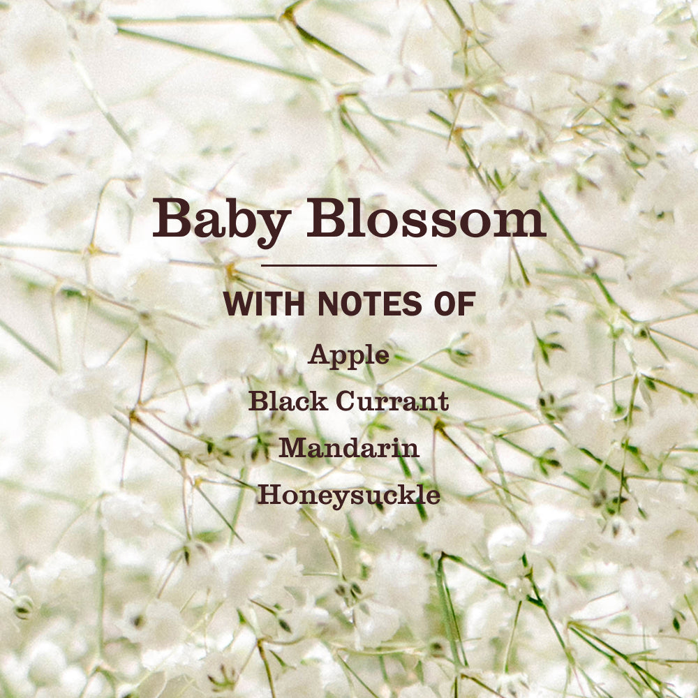 Baby Blossom Laundry Detergent - Laundry Care