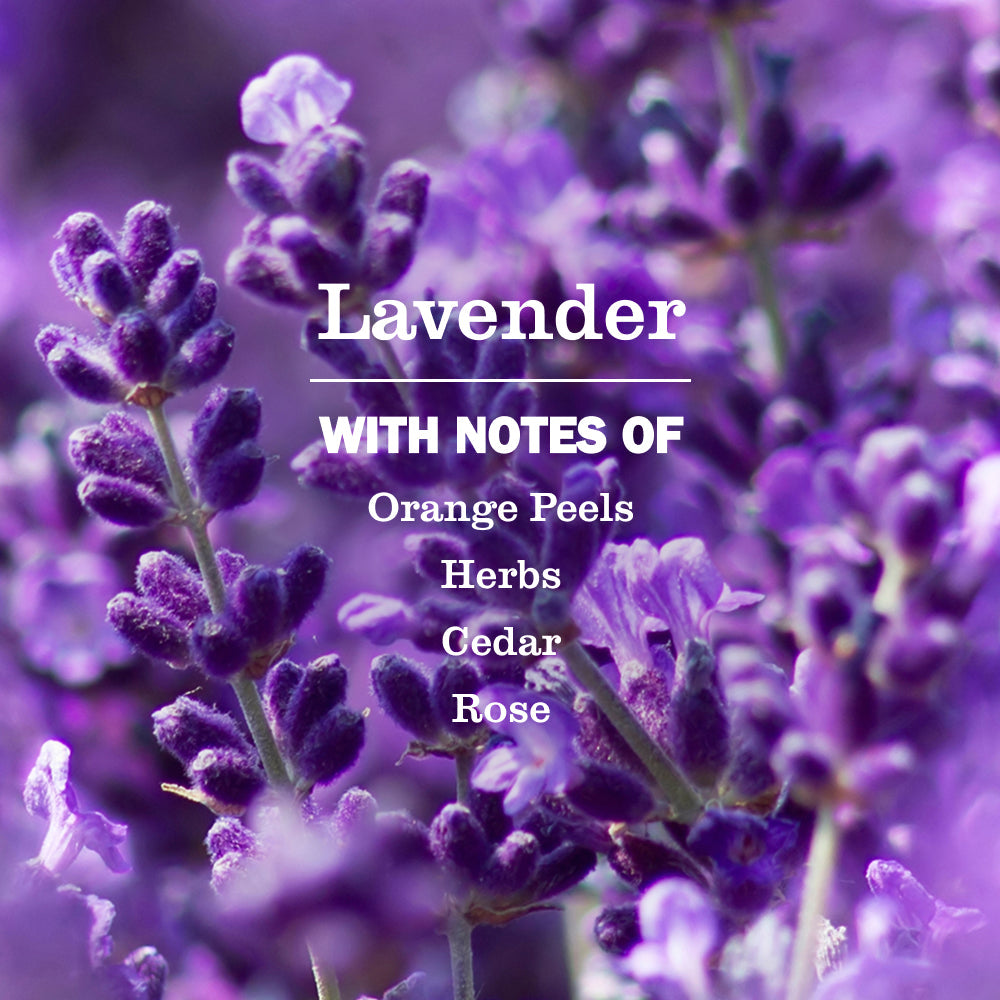 Lavender Room Freshener - Home Fragrance